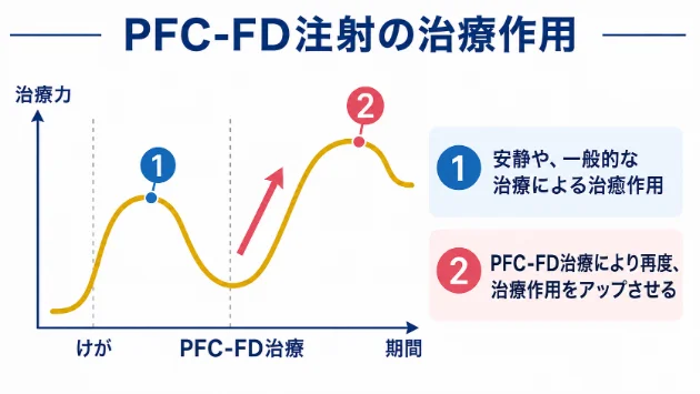 PFC-FD注射の治療作用のイメージグラフ
