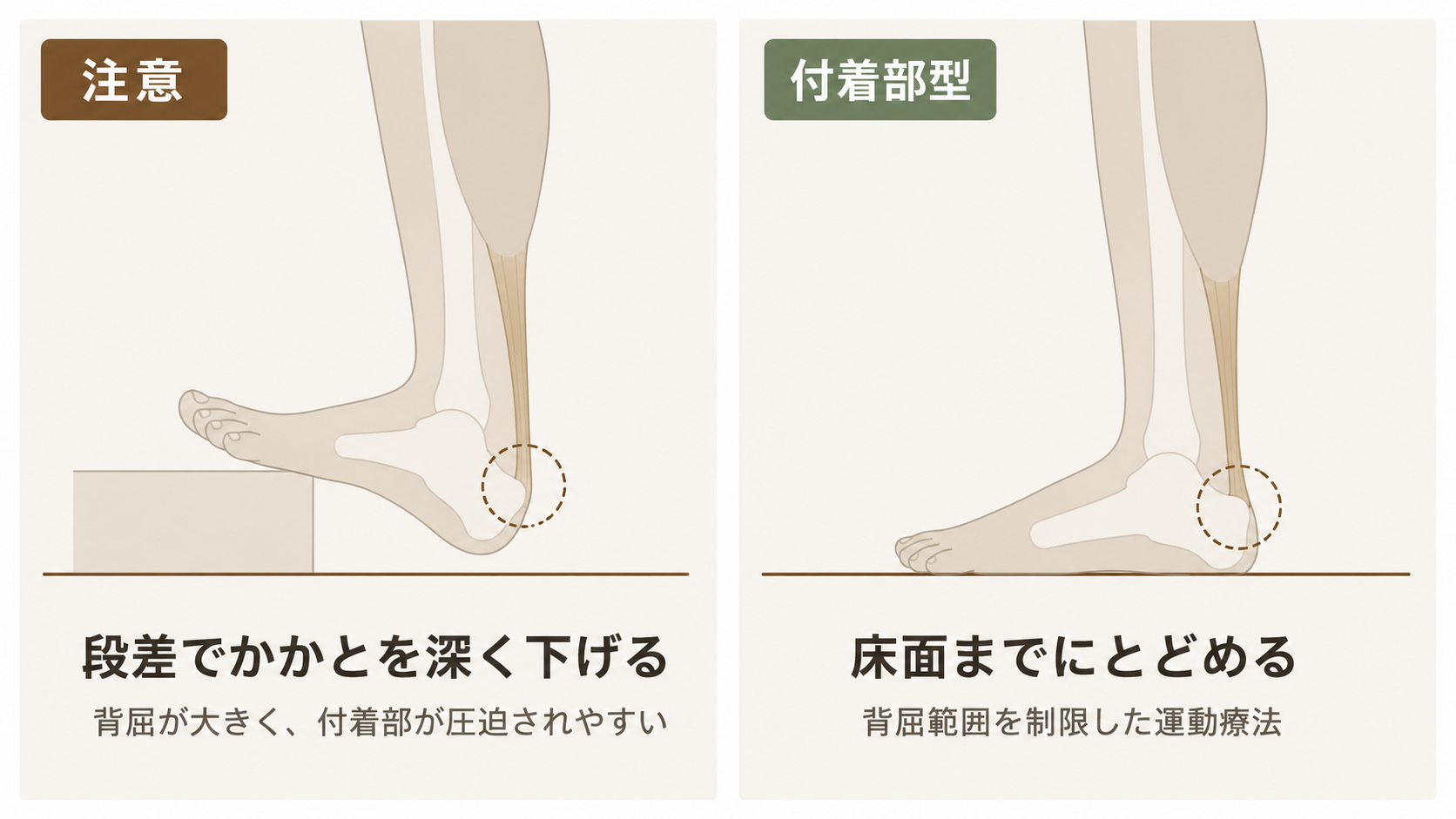 段差でかかとを深く下げた場合と床面までにとどめた場合の、足首の背屈範囲の違いを示した模式図